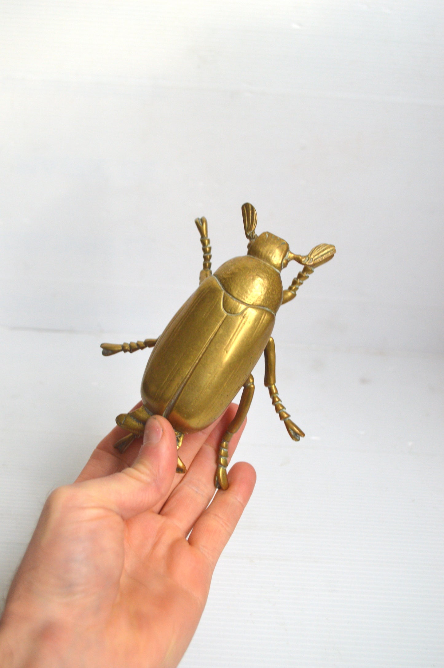 boite-en-forme-d-insecte