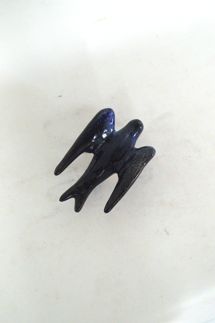 hirondelle bleu noire