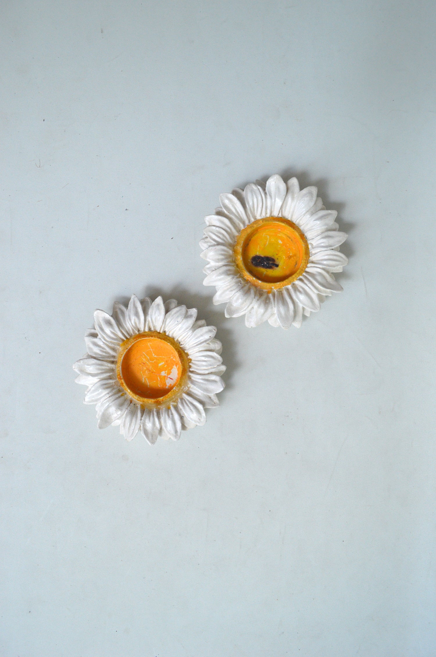 photophore-marguerites